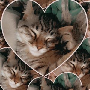 Meet your Posher, Natasha